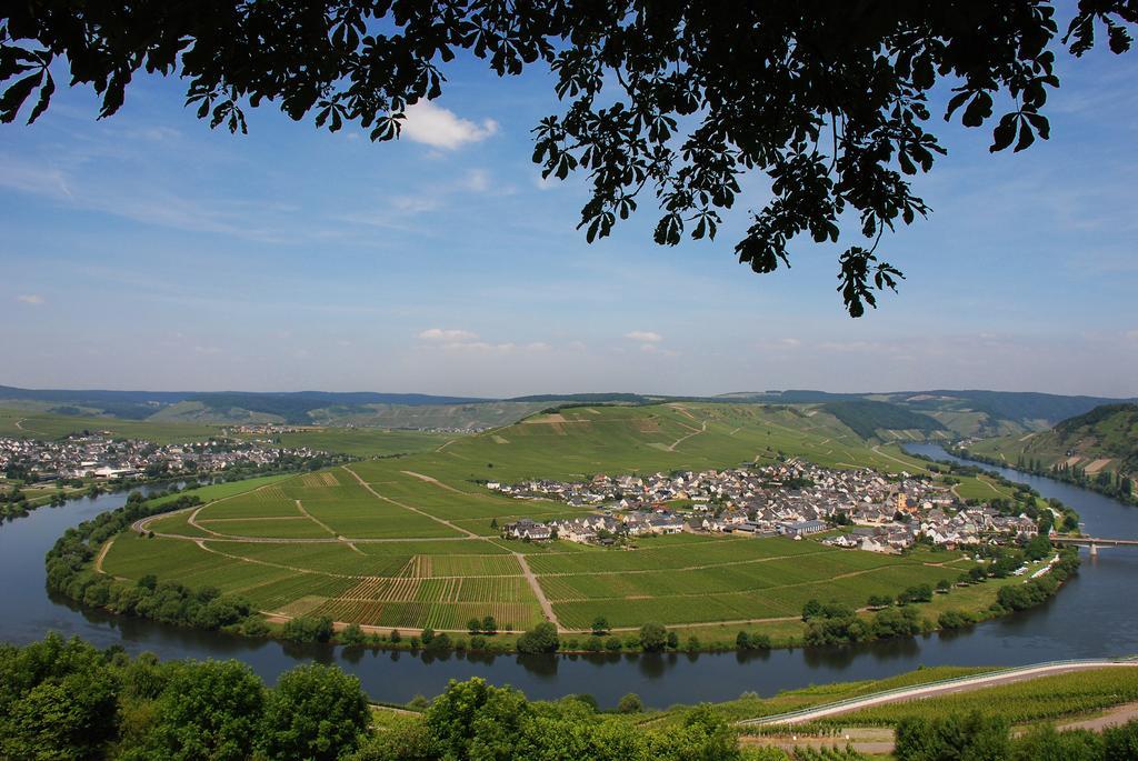 Gaestehaus & Weingut Cluesserath-Weiler Триттенхайм Экстерьер фото